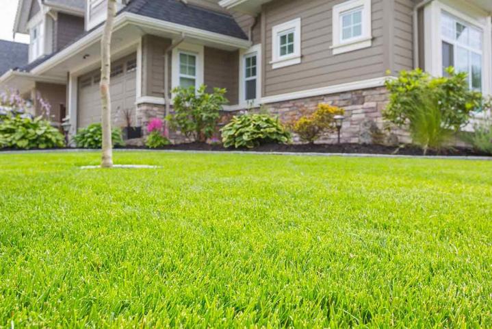 Landscaping Company, Port Perry